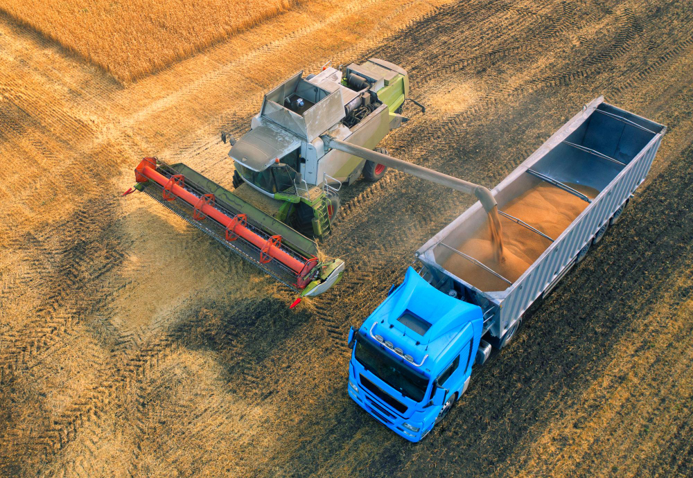 Grain Transportation and Importation Services